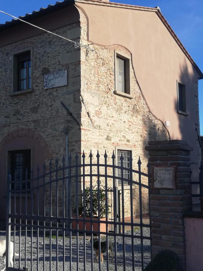L'Aia Degli Olivi Apartment Vada Exterior photo